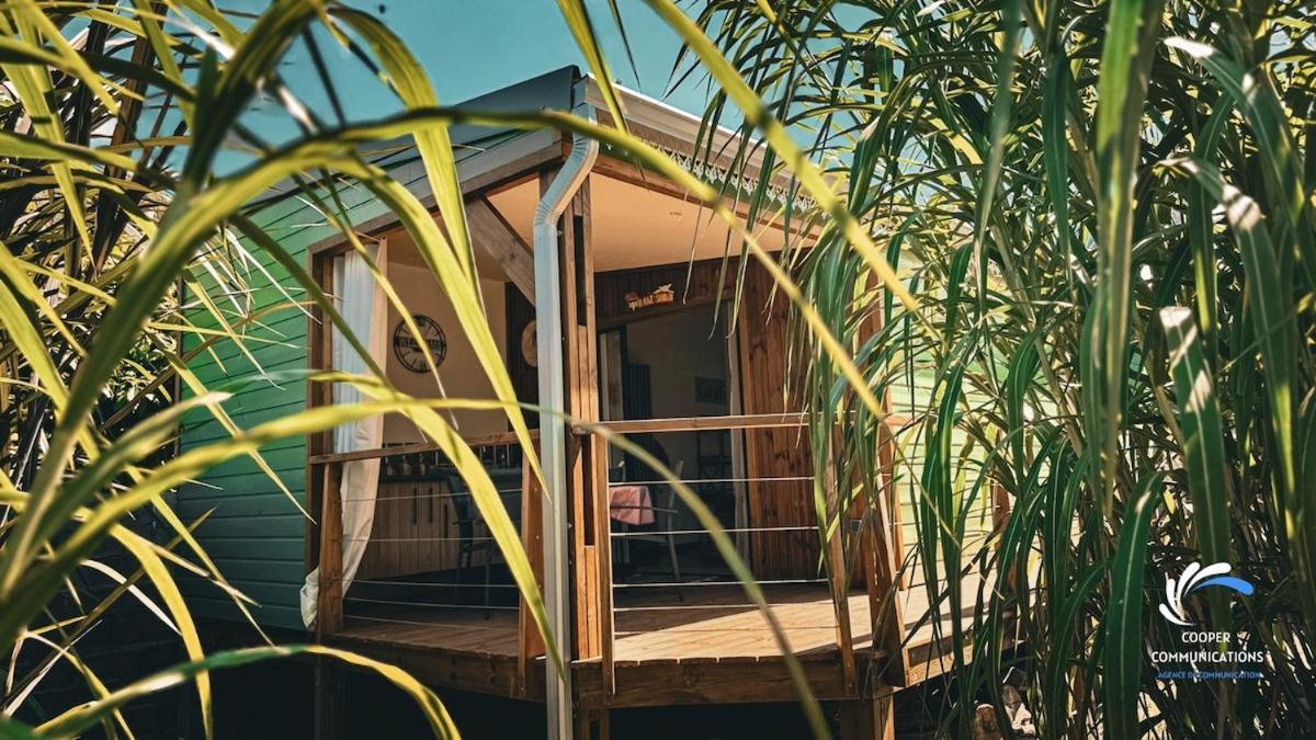 Noël Chalet Tikaz Sandjo מראה חיצוני תמונה